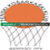 巴诺维契女篮logo