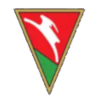 卢布林尼安卡logo