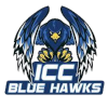 ICC蓝鹰logo