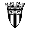 吉福斯女篮logo