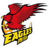 青岛雄鹰U21logo