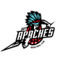 奇瓦阿帕切德logo