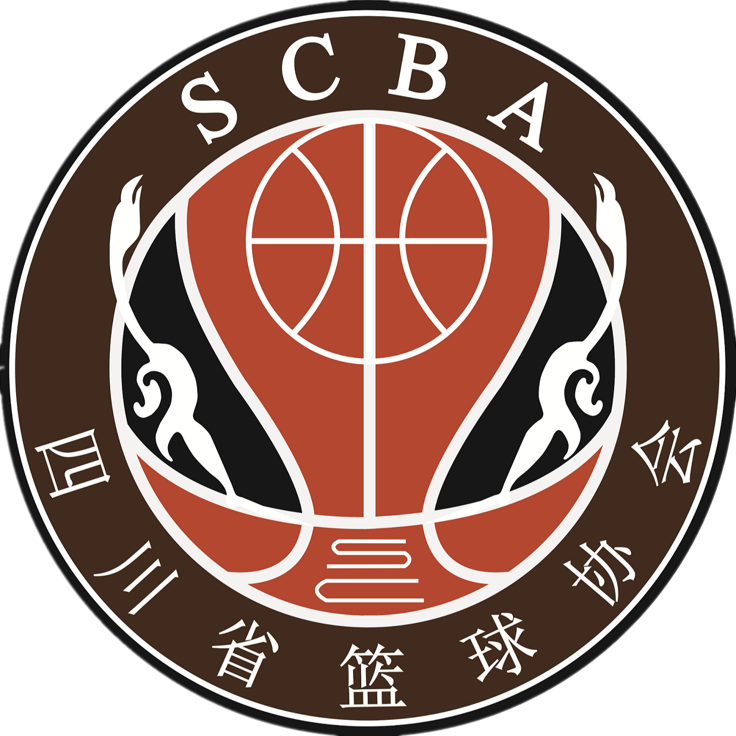四川女篮logo