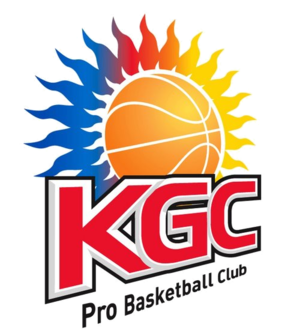 安养人参logo