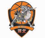 湖北女篮logo