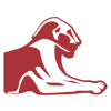 帕多瓦能源logo