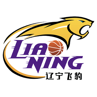 辽宁衡业女篮logo