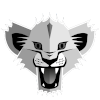 里昂索logo