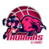 陶里纳斯女篮logo