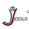 塞西斯耶索洛logo