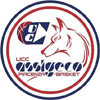维萨皮亚琴扎logo