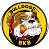 斗牛犬圣萨尔瓦logo
