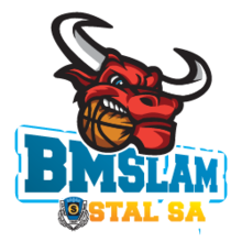 SO维尔科波尔斯基logo