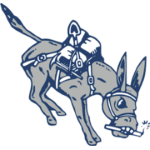 科罗拉多矿业大学女篮logo
