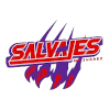 华雷斯萨尔瓦耶斯logo