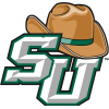 斯泰森大学logo