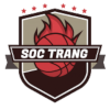 朔庄市logo