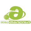 梅加篮球logo