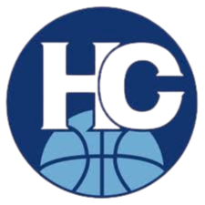 昊骏logo