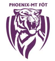 凤凰MTlogo