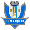 特尔古捷乌logo