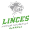 圣地亚哥猞猁logo