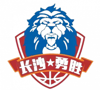长沙湾田勇胜U21logo