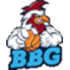 加拉拉特logo