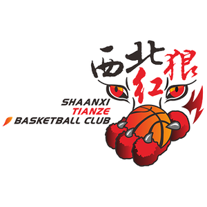 陕西天泽女篮logo