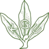 关东学院大学logo