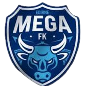 埃迪尔内梅加logo