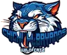 奇奇阿尔巴亚诺斯野猫logo