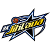 维索基纳logo