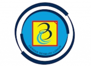 布迪卢胡尔大学女篮logo