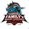 三宝颜沙丁鱼logo