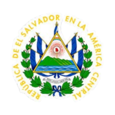 ST萨尔瓦多logo