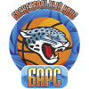 巴斯logo