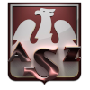 AZS托伦logo