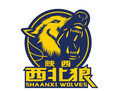 陕西信达U21logo