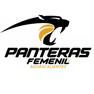 黑豹女篮logo