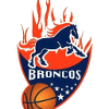 加拉加斯野马logo