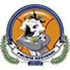 巴拿马竞技女篮logo