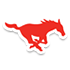 南方卫理会logo