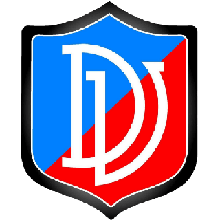 维德马体育logo