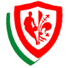 艾尼克费伦泽logo