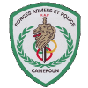 FAP女篮logo