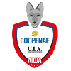 库普内logo