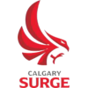 卡尔加里浪涌logo