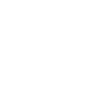 AKS ZLY华沙女篮logo