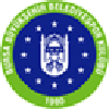 布尔萨女篮logo